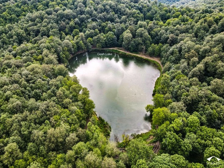 Gosh Lake